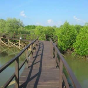 Labuhan Mangrove Education Park